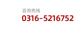 0316-5216752